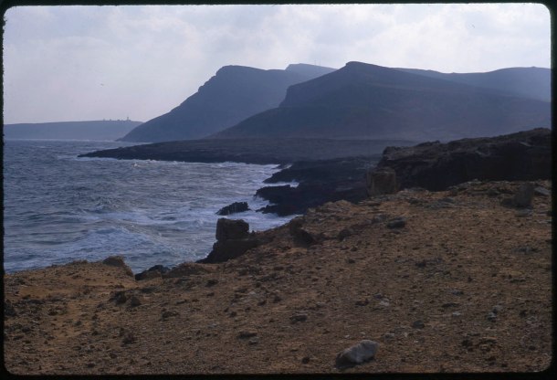 Shore at Henchir el Haouaria, Tunisia, undated (BF.S.2002.3209)